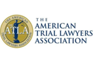 The American Trial Lawyers Association